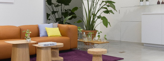 Steinhoff macht mal wieder mit einem Kurssprung von sich reden, der an der misslichen Lage aber nichts ändert