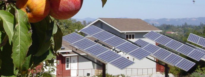 SolarEdge kann die Erwartungen der Anleger nicht erfüllen und muss mit heftigen Korrekturen leben - Newsbeitrag
