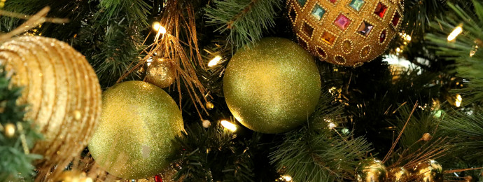 Gold-, Silber- & Platinmünzen: Das perfekte Geschenk zu Weihnachten? - Newsbeitrag
