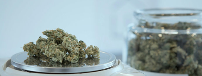 NTG24 - Die USA gehen lockerer mit Cannabis um, was der Canopy Growth-Aktie einen massiven Höhenflug beschert