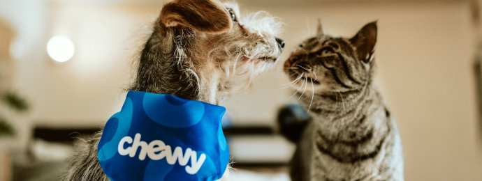 Finfluencer Ketih Gill sorgt für einen kurzen Hype um die Chewy-Aktie, der allerdings nicht lange anzuhalten scheint - Newsbeitrag