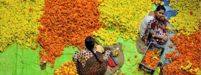 Lässt Indiens Goldhunger nach? - Newsbeitrag