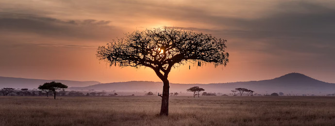 NTG24 - Südafrika als Trendreiseziel: Luxusreisen in einer neuen Dimension