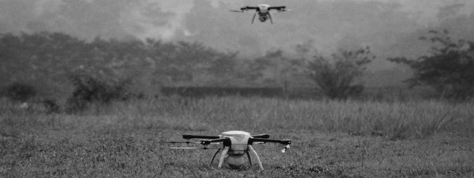 Swarmers Software begeistert die Anleger - Newsbeitrag