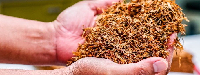 British American Tobacco würde gern einen neuen Standort in Deutschland hochziehen, doch noch fehlt es an den notwendigen Voraussetzungen