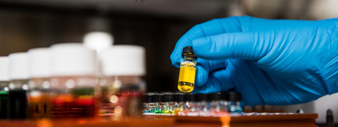 NTG24 - Novartis schlägt die Erwartungen, Swatch leidet unter hartem Franken und Lindt & Sprüngli stabilisiert sich - BÖRSE TO GO