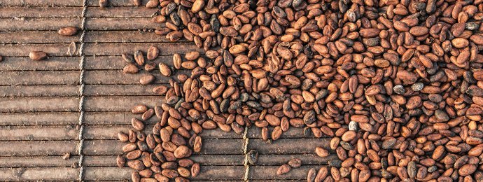 NTG24 - Kaffee vor der Wende?