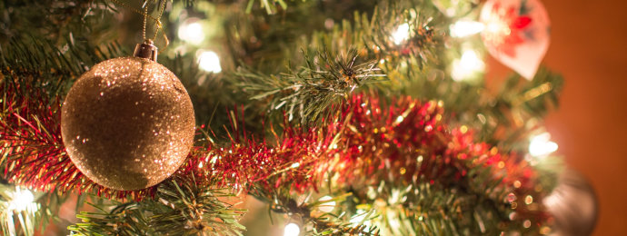 Alle Jahre wieder: Der Weihnachtsbaum in der Umsatzsteuer - Newsbeitrag