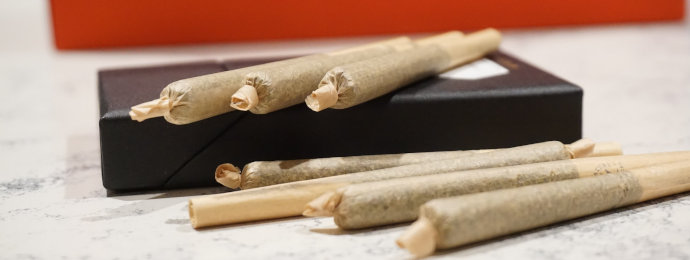 NTG24 - 20. April – Heute ist Welt-Cannabis-Tag