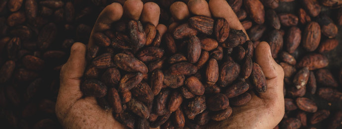 Kakaopreis vor neuem Aufwärtsimpuls - WisdomTree Cocoa 2x Leveraged ETC mit Chancen - Newsbeitrag