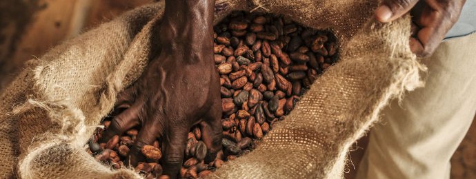 NTG24 - Kommt der Boden bei Kaffee?